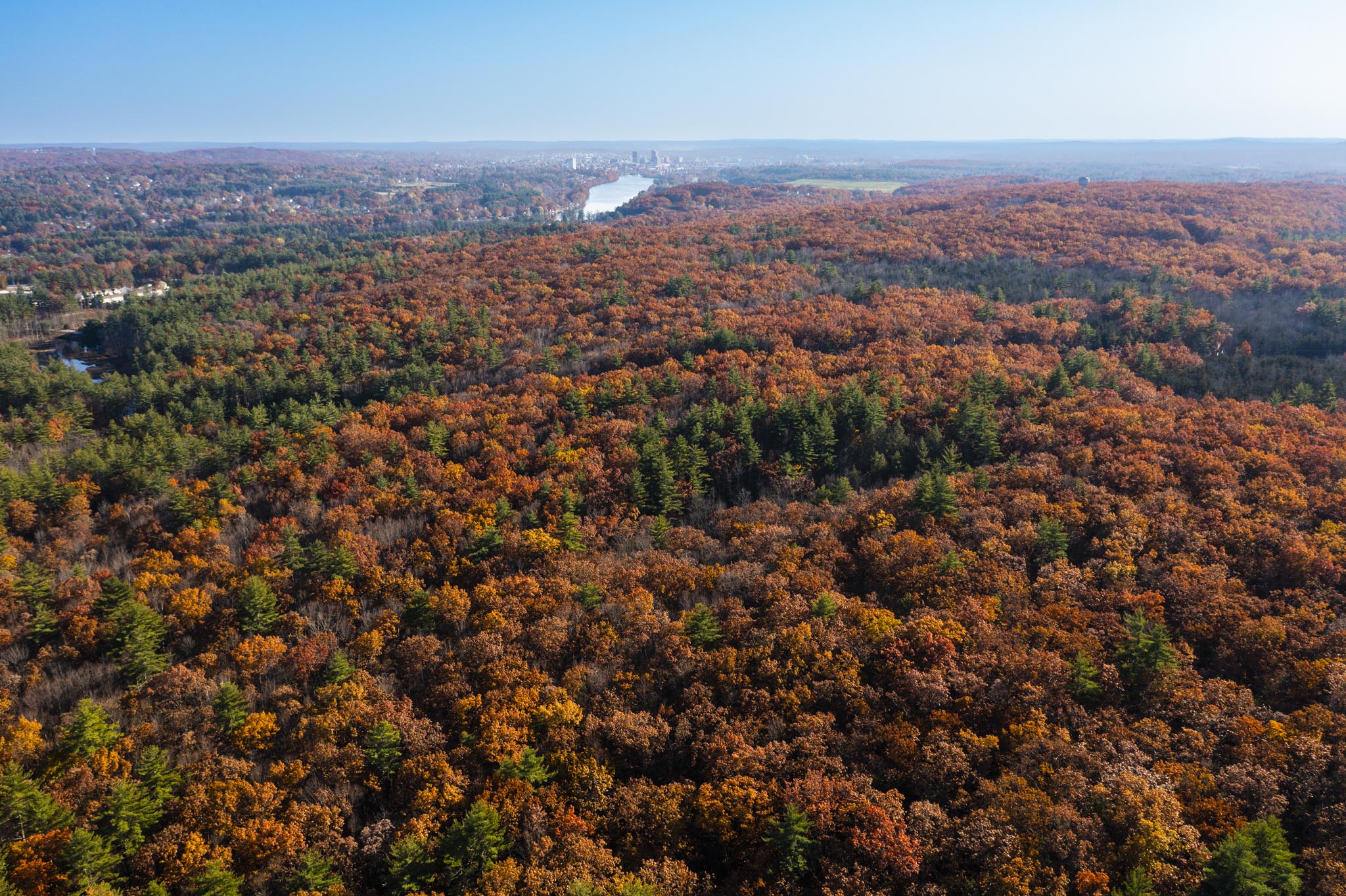 Scenic view of trail